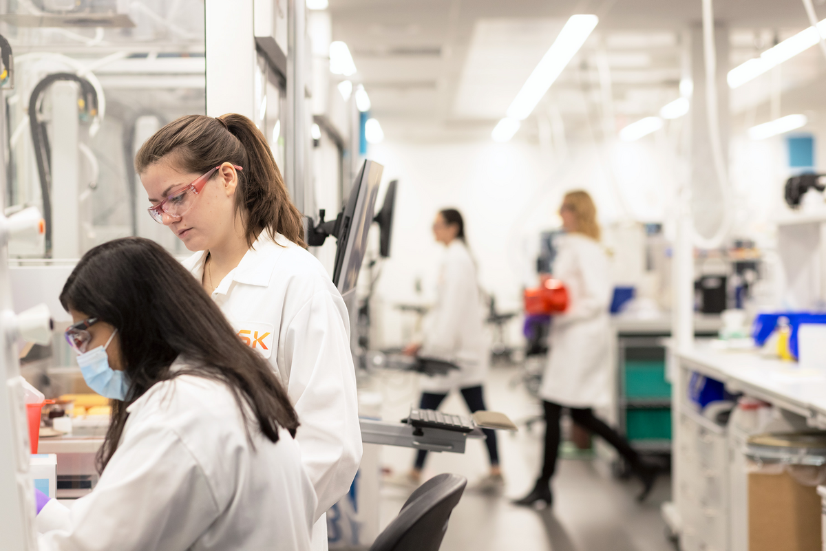 two scientists in a lab