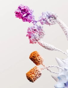 Immuno Oncology science image