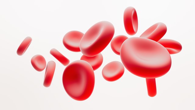 Anaemia Blood Cells Image