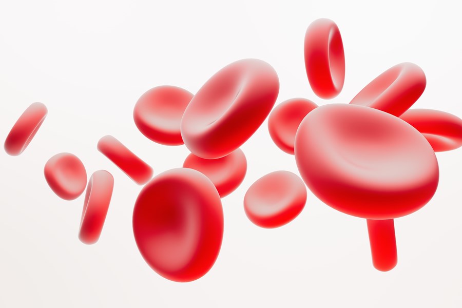 Anaemia Blood Cells Image