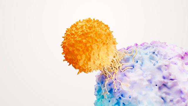 T Cell And Cancer Tumour Science Image
