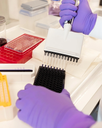 R&D scientist with multi-pipette in R&D smart lab.