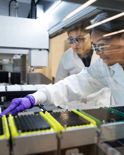 Scientists working in lab