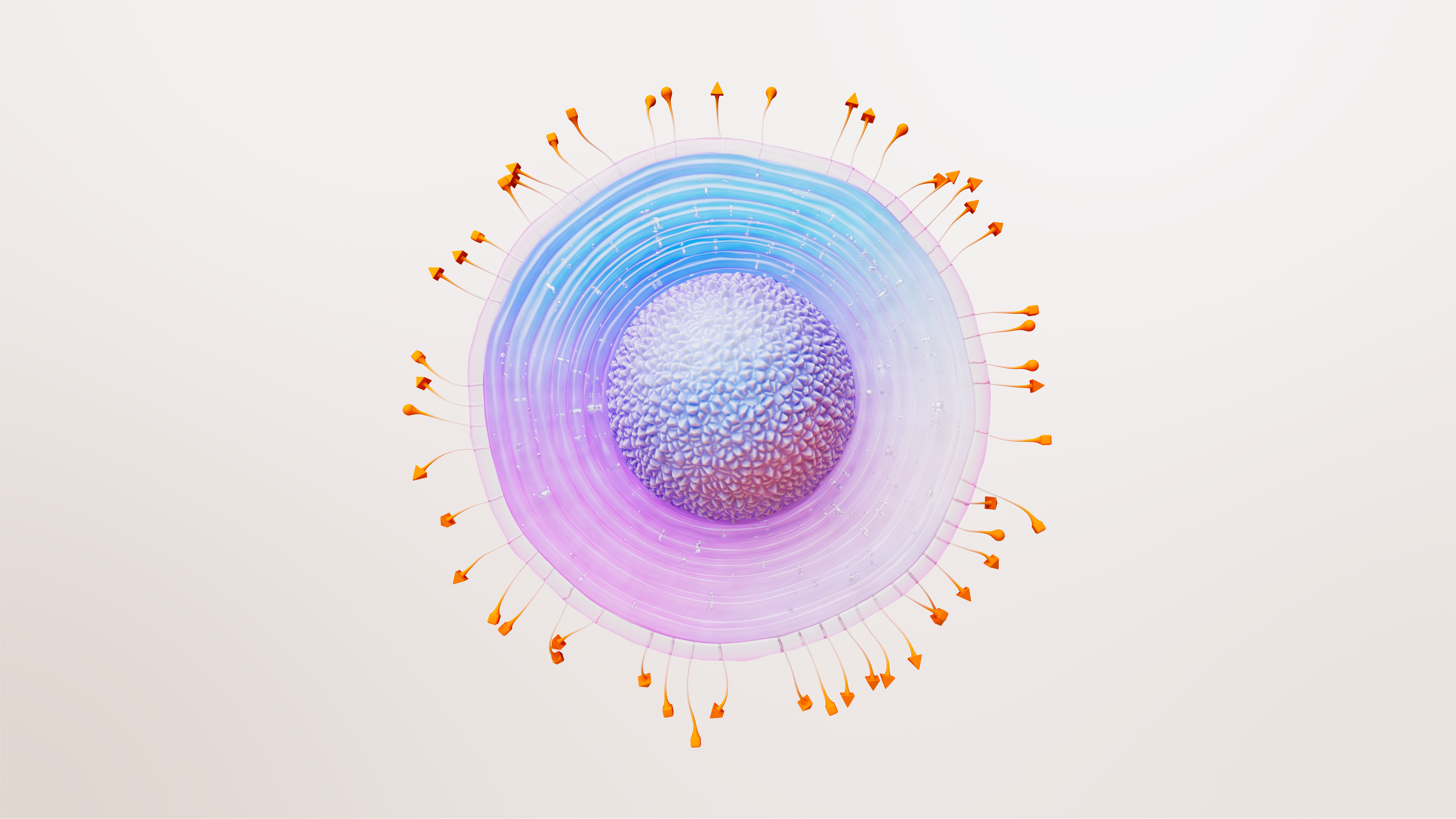 Illustration of the Herpes Zoster Virus