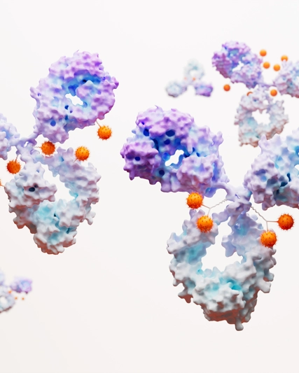 Antibody Drug Conjugate