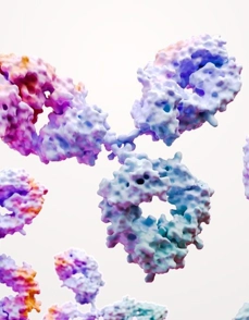 Monoclonal antibodies science image