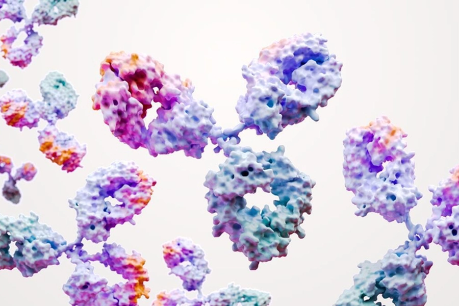 Monoclonal antibodies science image