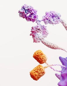 Immuno Oncology Science Image