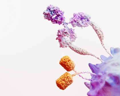 Immuno Oncology Science Image