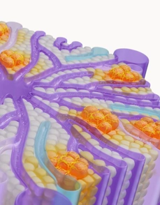 liver disease animation