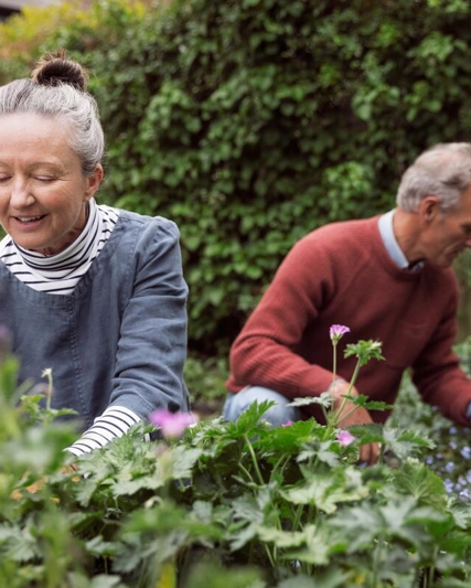 older couple working together in their garden