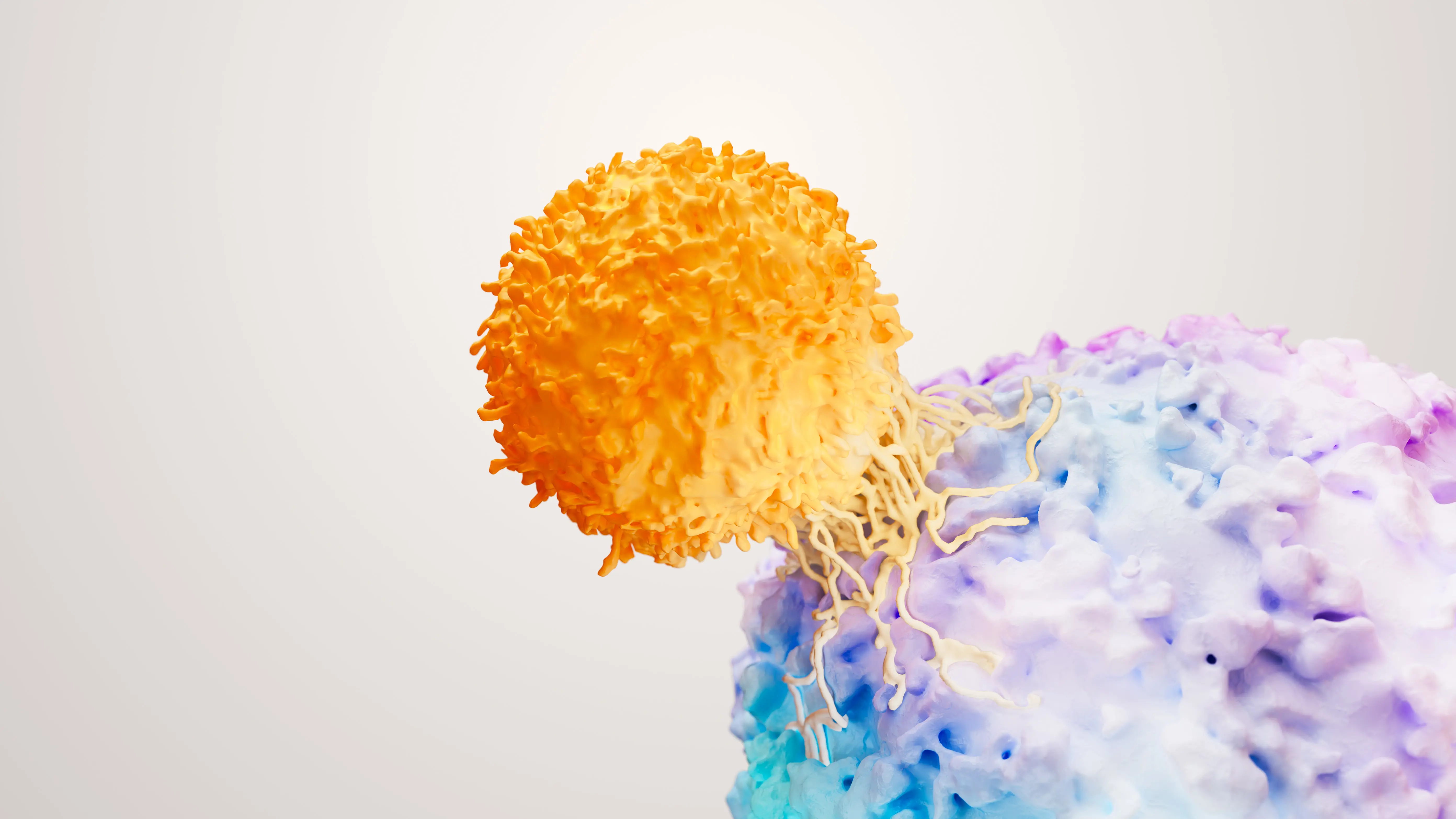 T-cell therapy pictured