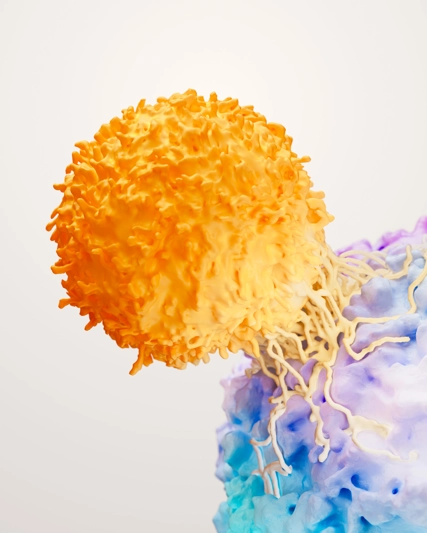 T-cell therapy pictured