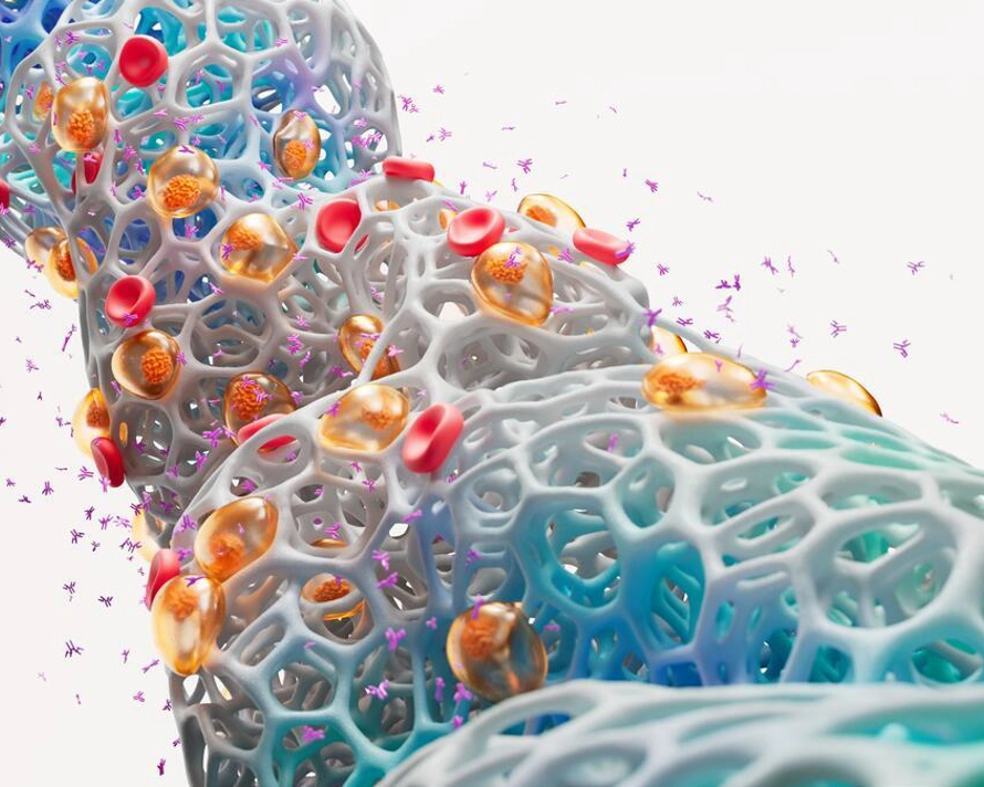 Science Image Multiple Myeloma RGB